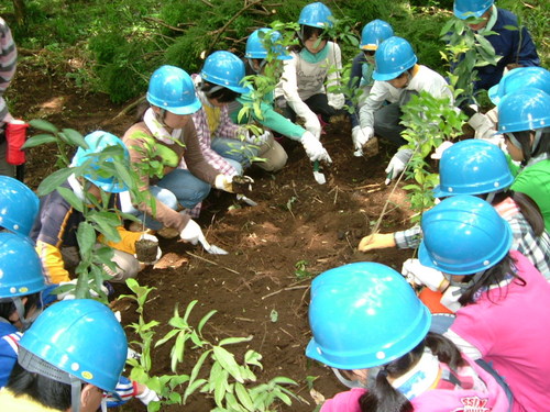 8 nae ueru aft gr.JPG